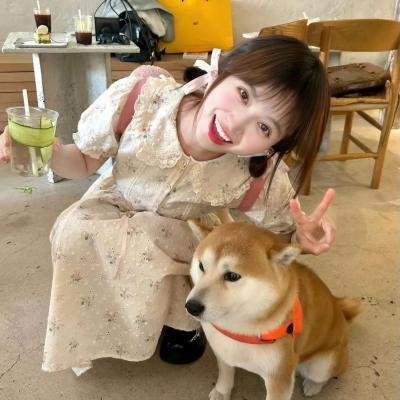 情分飞